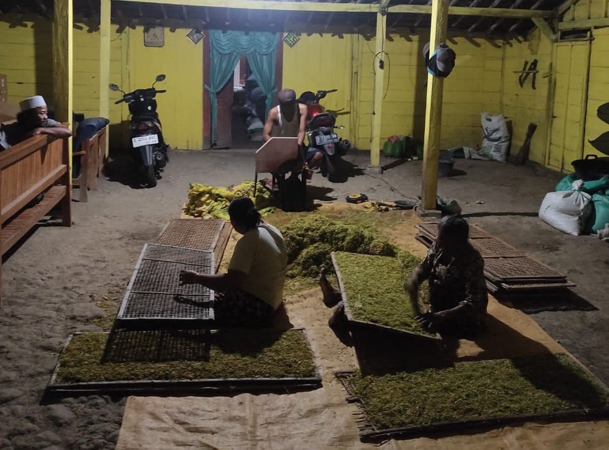Pemkab Bojonegoro Salurkan Rp33,6 Miliar BLT DBHCHT, Dukung Kesejahteraan Pekerja Tembakau