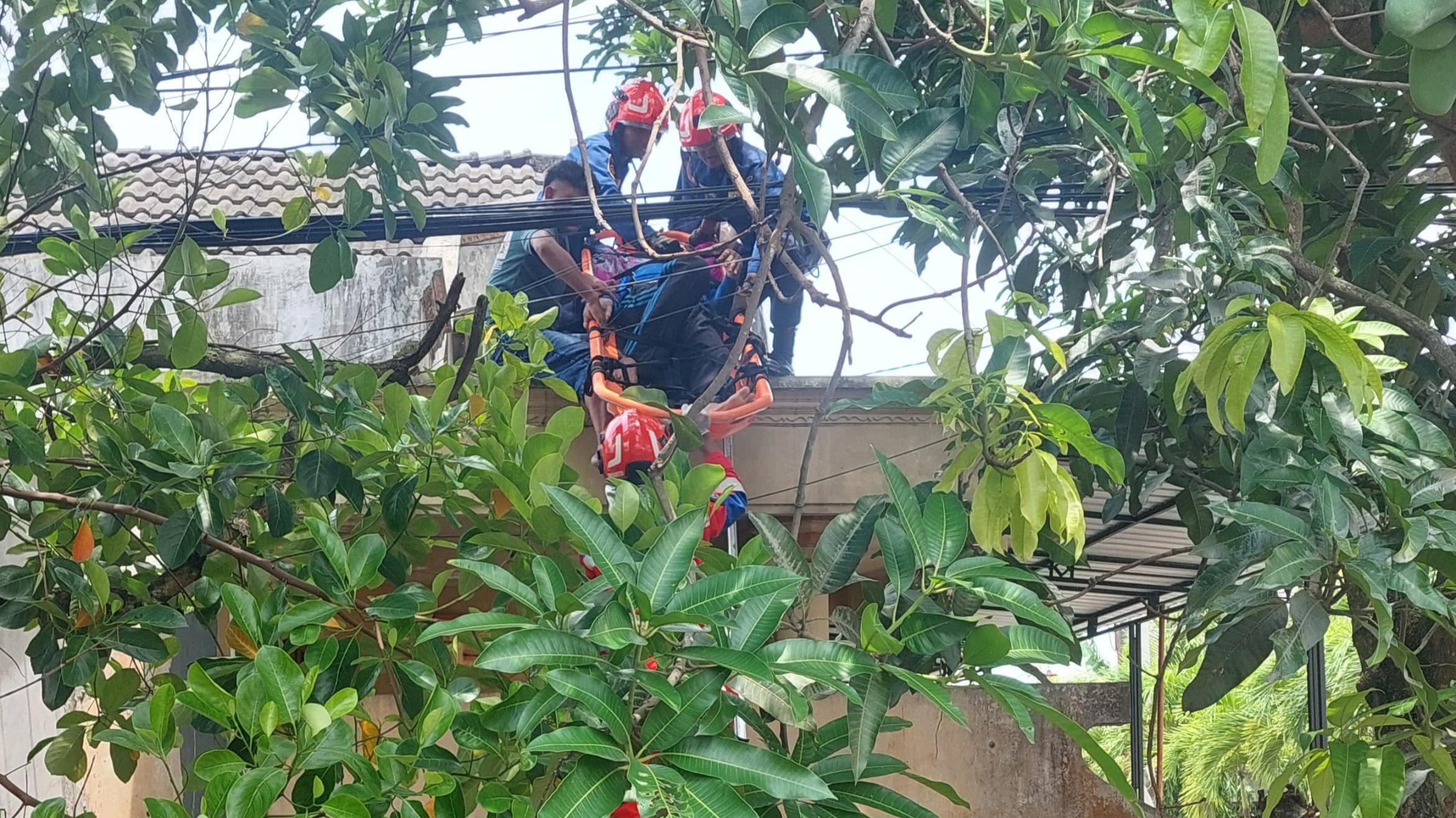 Petugas Damkarmat Bojonegoro Selamatkan Warga yang Pingsan di Atap Rumah