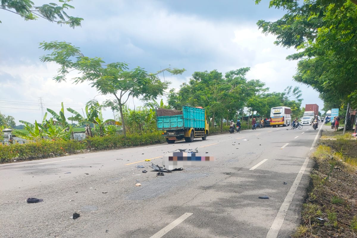 Nyebrang Jalan, Pemotor di Bojonegoro Tewas Ditabrak Xpander