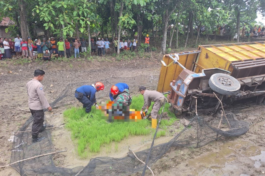 Truk Modifikasi Terguling ke Sawah, Sopir Tewas Kesetrum