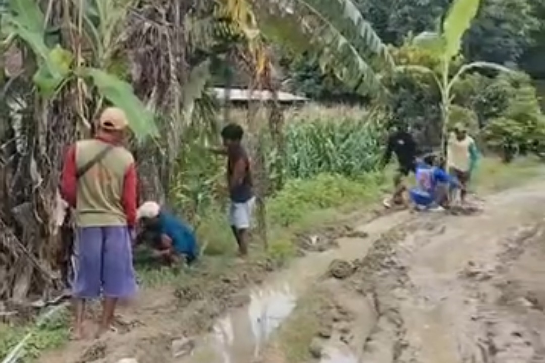 Warga di Bojonegoro Protes Jalan Rusak dengan Ditanami Pohon Pisang