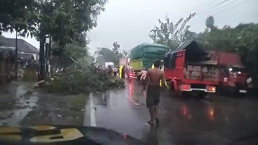 Angin Kencang Sapu Kalitidu, Pohon Tumbang dan Kios Terbalik