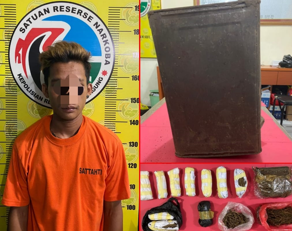 Bawa Ratusan Gram Ganja, Pemuda Asal Rejotangan Ditangkap Satresnarkoba Polres Tulungagung