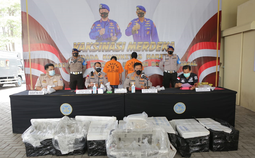 Subdit Gakkum Ditpolairud Polda Jatim Tangkap Dua Kurir Pengirim Benur Tanpa Izin di Probolinggo