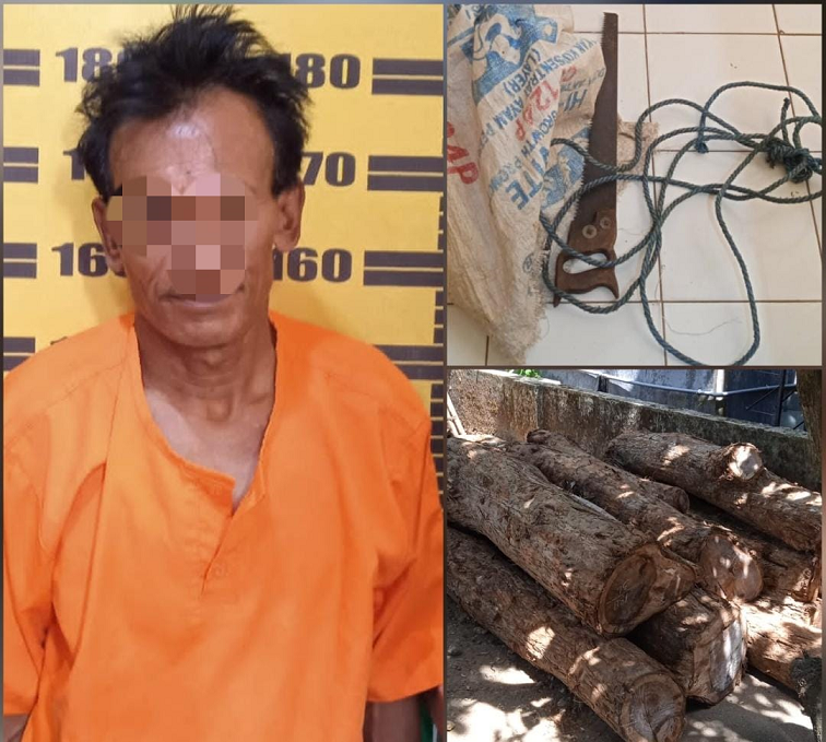 Sempat Melarikan Diri, Pelaku Pembalakan Liar di Tulungagung Berhasil Ditangkap Unit Reskrim Polsek 