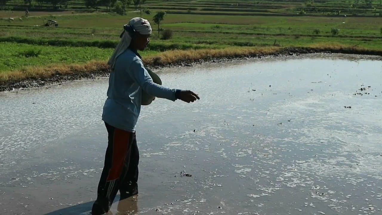DKPP Bojonegoro Pastikan Stok Pupuk Subsidi Aman Jelang Musim Tanam