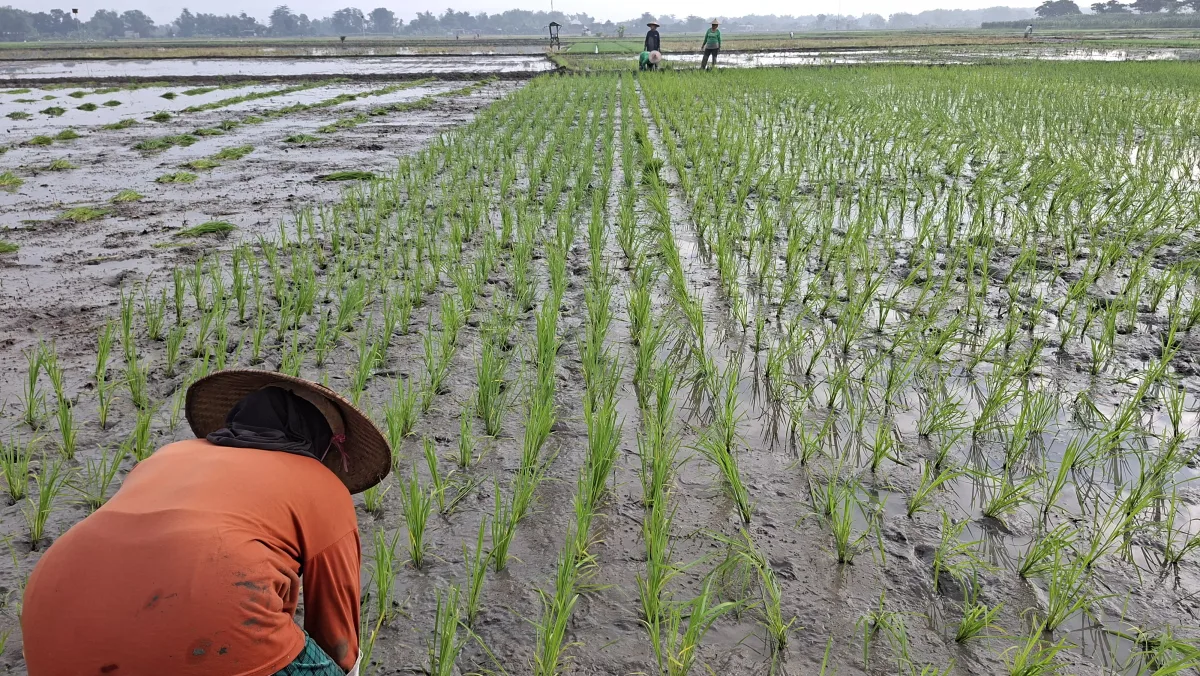 Warga Bojonegoro Siapkan Payung, Hujan Ringan Diprediksi Guyur Wilayah Kota Siang Ini
