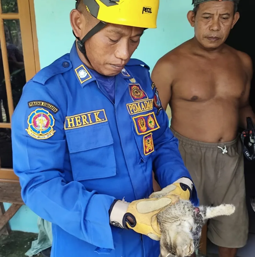 Kucing Terjepit di Roda Mesin, Damkarmat Bojonegoro Turun Tangan