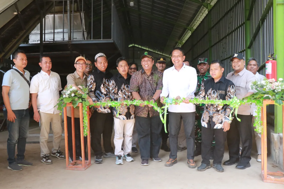 Dorong Investasi dan Kesejahteraan Petani, Bupati Setyo Wahono Resmikan Pabrik Pengolahan Porang di Sekar