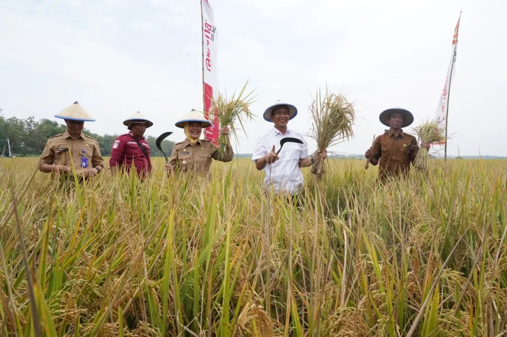 Pertanian Bojonegoro Tumbuh 11,38%, Selamatkan Ekonomi dari Tren Minus Migas